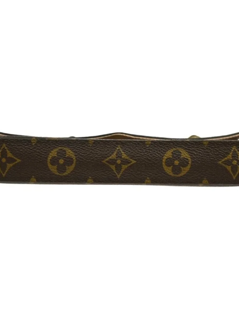LOUIS VUITTON POCHETTE FELICIE VALENTINE DOG SHOULDER BAG